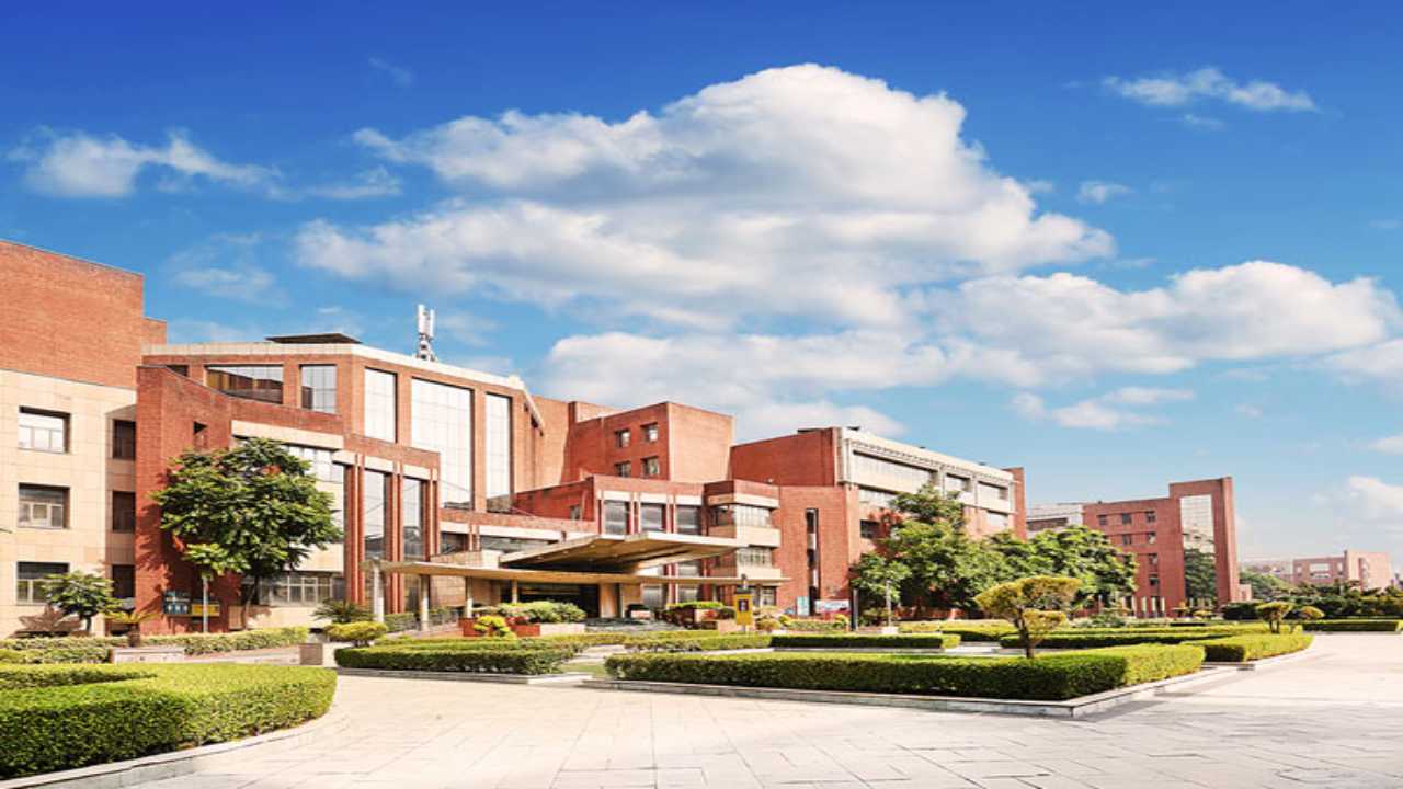 Amity University Noida